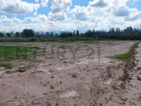 Campo en Venta de 2,74  ha