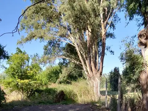 Terreno en Venta de 4698,0 m2