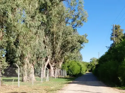 Isla de los Estados y Pilara. Barrio Carabassa