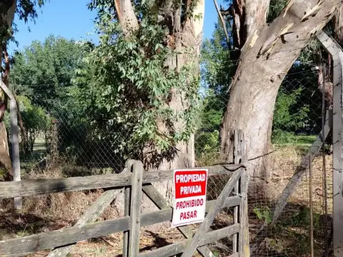Pilara y la calle Isla de los Estados, Barrio Carabassa