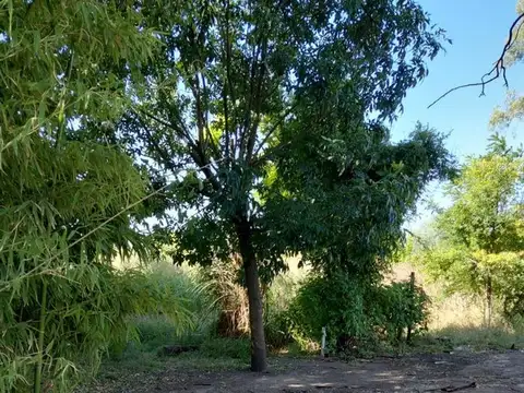 Isla de los Estados y Pilara. Barrio Carabassa