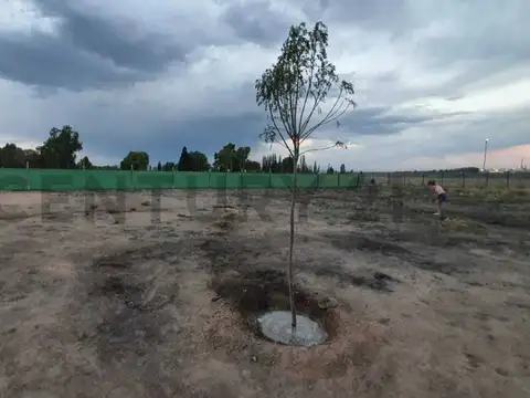 Terreno en Venta en Las Compuertas, USD 32.000