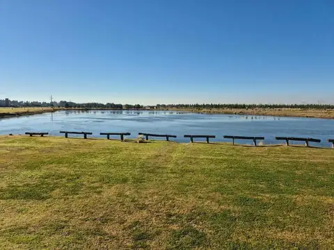 Terreno en Venta 50  mts Fondo