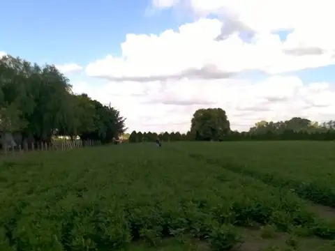 Zona Rural Santa Lucía