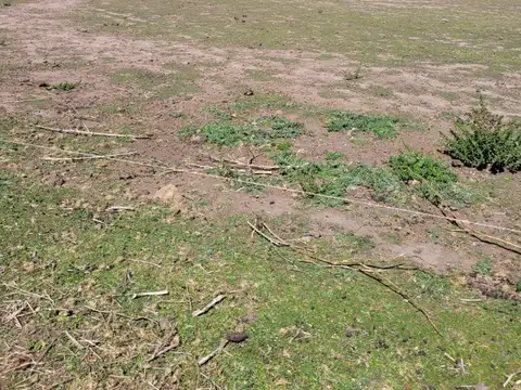 Quinta en Venta en Santa Lucia, USD 50.000