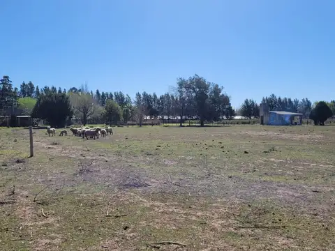 Excelente quinta de 1 ha con mejoras en Santa Lucía. Ideal casa de fin de semana!