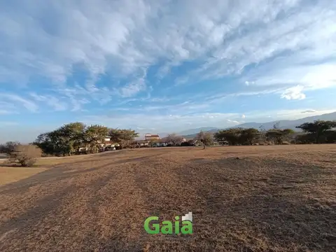 Terreno en Venta 43  mts Frente