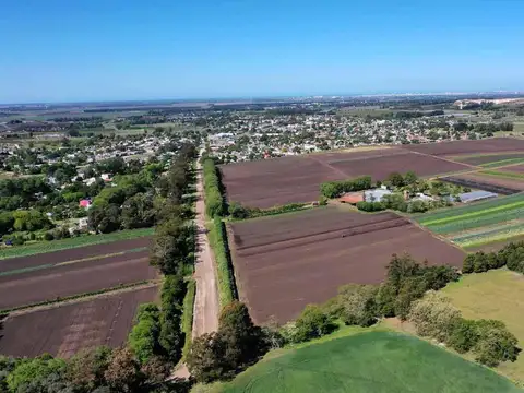 Campo en Mechongue