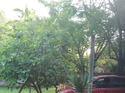 Francisco Viedma 4600