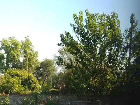 Francisco Viedma 4600