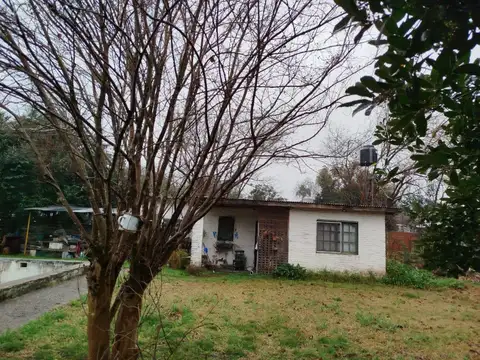 MAZA, MANUEL 8100