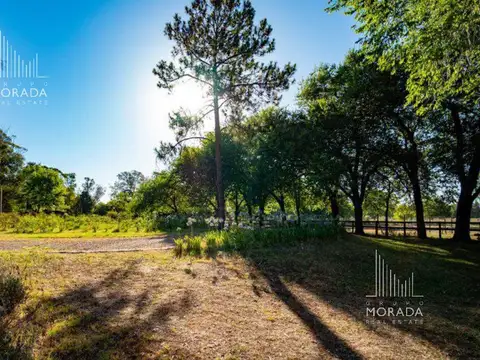 Terreno en Venta de 890,0 m2