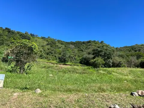 San Lorenzo. La Hoyada de Castellanos. Lote 100