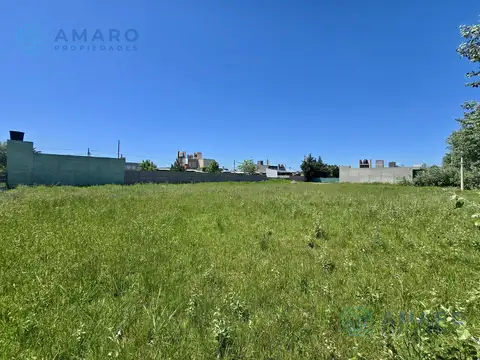 El Jacaranda  6250