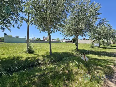 El Jacaranda  6250