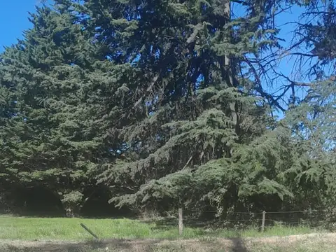 Terreno en venta en Sierra De La Ventana