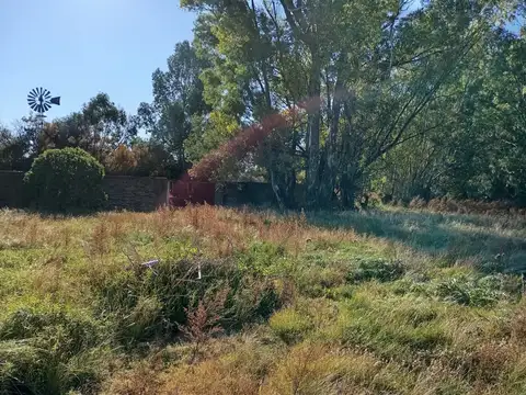 Excelente parcela de 3 hectáreas