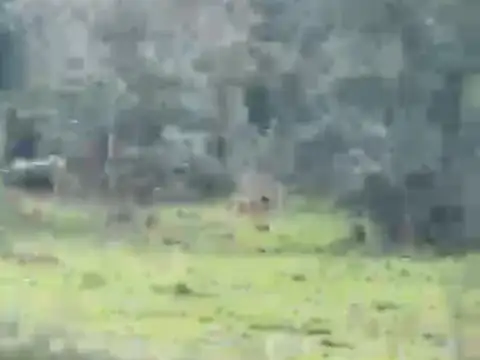 Excelente parcela de 3 hectáreas