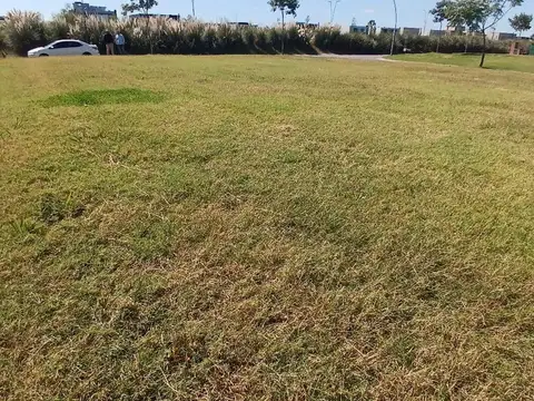 Avenida de los Lagos 1100