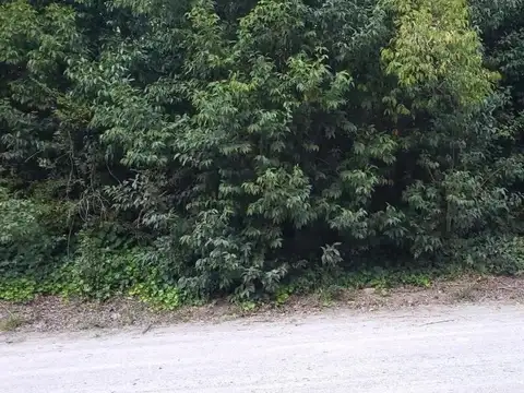 Terreno en Venta 20  mts Frente