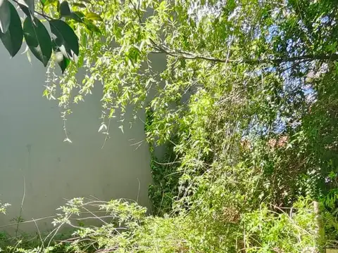 Galpon en Venta 38  mts Frente