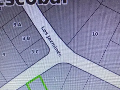 Mendoza y Los Rosales - Maschwitz 100