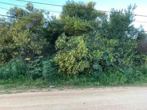 Terreno en Venta de 10000,0 m2