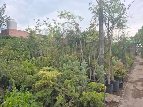 Terreno en Venta de 1200,0 m2