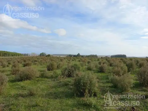 Terreno en Venta de 104000,0 m2
