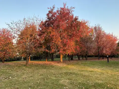 Terreno en Venta en Pilar del Este - San Ramon, USD 32.500