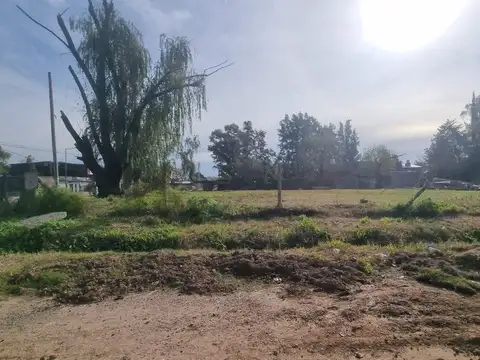 Terreno en Venta de 299,0 m2