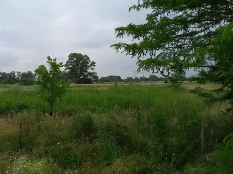Venta Lote de 38.250 m²