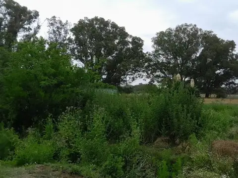 Terreno en Venta de 38000,0 m2