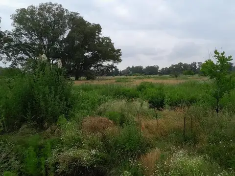 Terreno en Venta en Cañuelas, USD 70.000