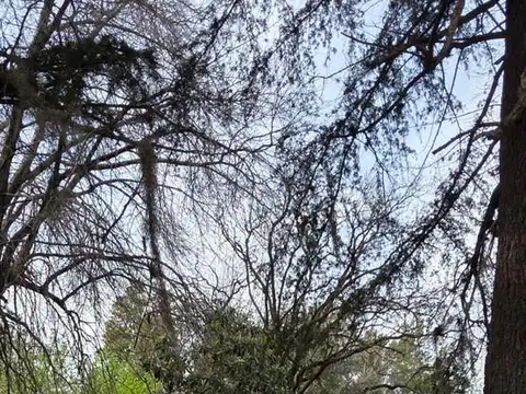 Terreno en Venta en Ingeniero Maschwitz, $ 51.000