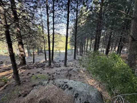 Terreno en Venta de 2100,0 m2