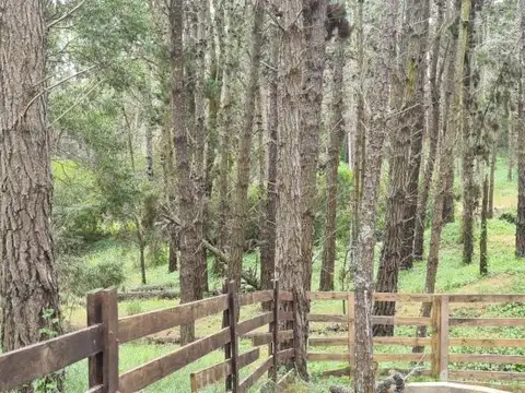 Casa en Venta 12 años