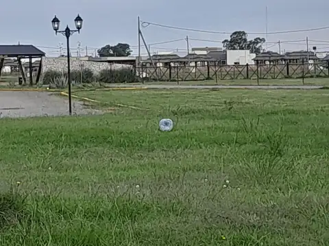 Lote - FINCA DON EUGENIO -