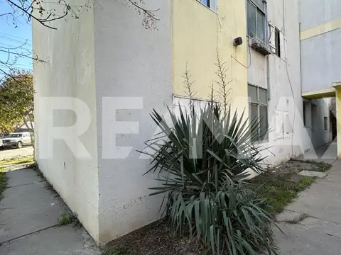 ALQUILER DEPARTAMENTO PB 3 DORMITORIOS PLOTTIER