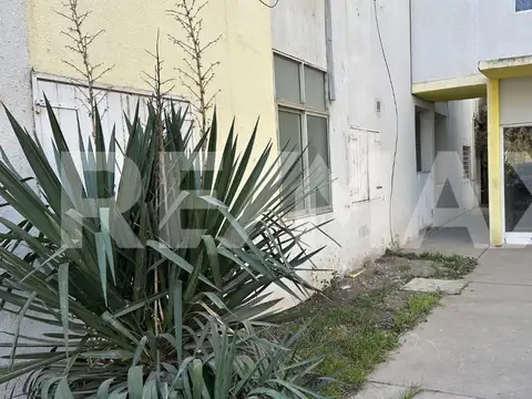 25 de noviembre 100