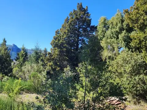 ruta 82 s/n , Piso 0