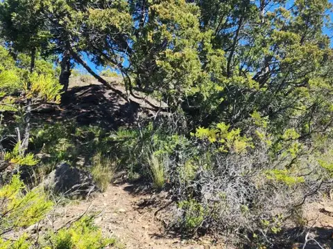 Terreno en Venta de 6792,22 m2
