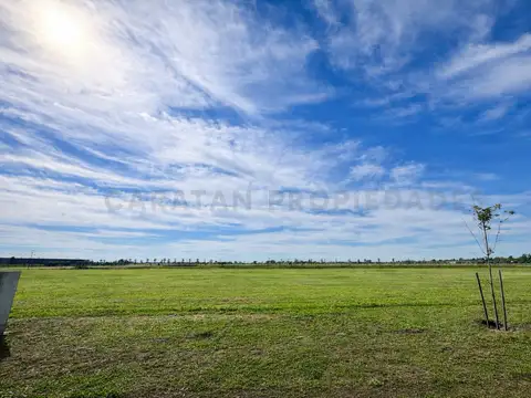 Terreno en Venta en Vida Lagoon - 962.5m2