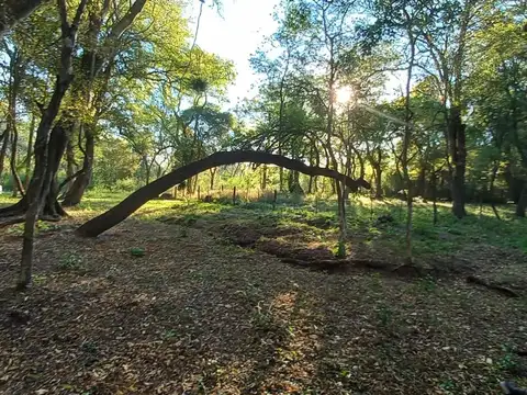 Quintas De Belen 100