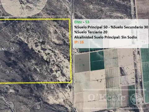 Campo en venta 137 has en Zapata Mendoza;  Agrícola, con pozo de agua.