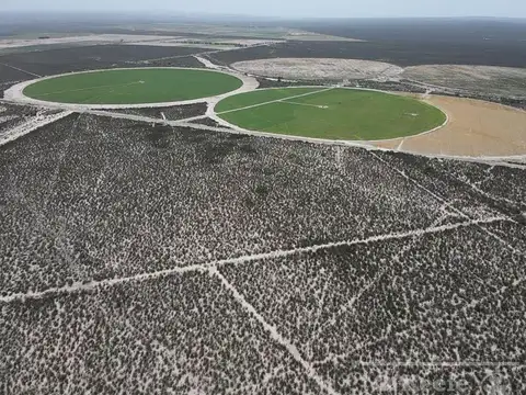 Campo en venta 137 has en Zapata