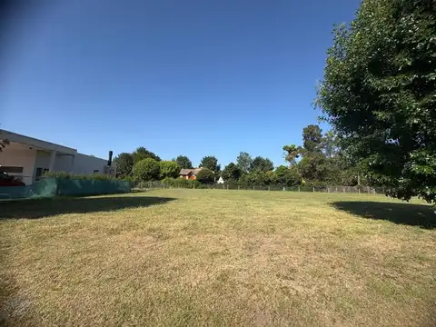 Altos Del Casco, Lote 200