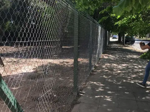 DE LOS DERECHOS HUMANOS 1500