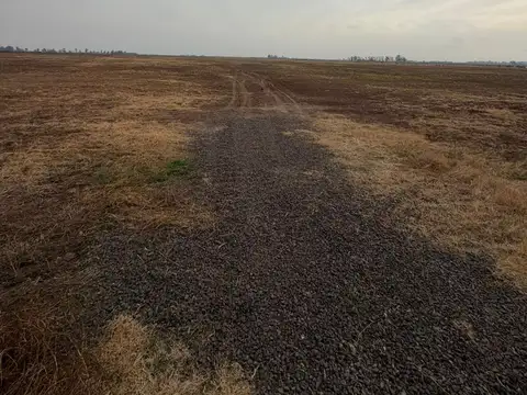 32,5 HREAS AGRICOLAS-CAMINO A SAN EDUARDO