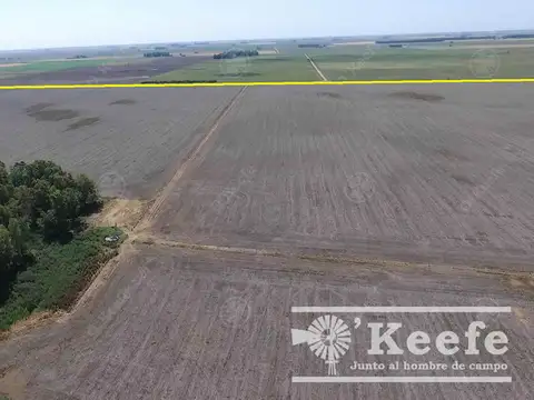 330 has En Bolivar. Campo 60 % agrícola !